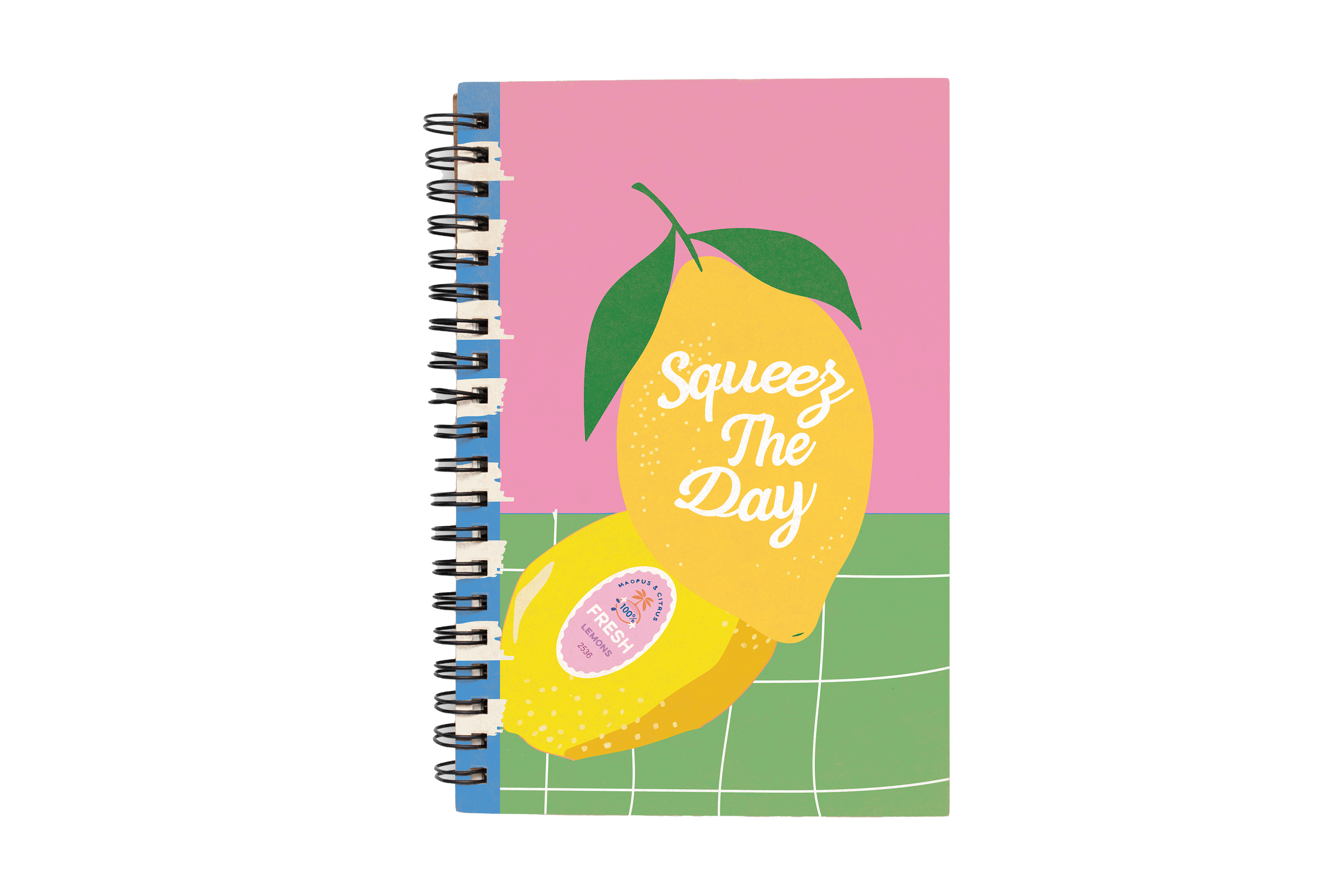 Squeeze The Day Notebook