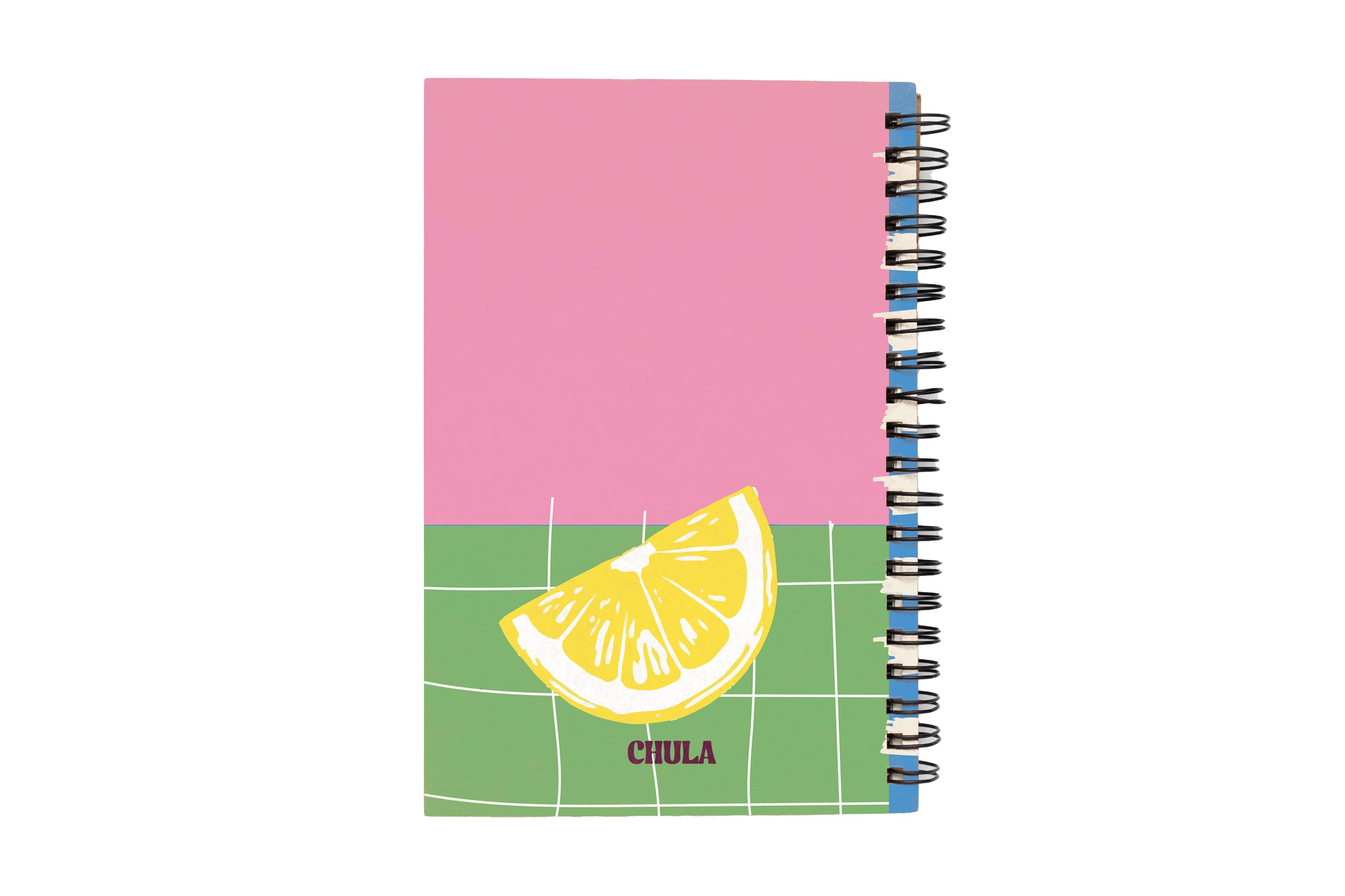 Squeeze The Day Notebook